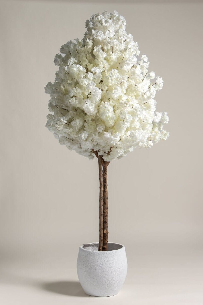 White Cherry Blossom Tree With Natural Wood Trunk