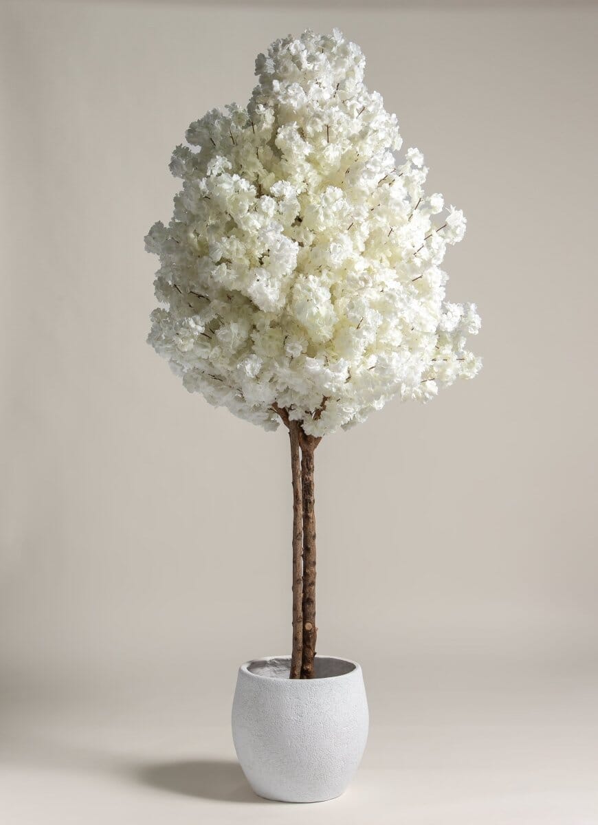 White Cherry Blossom Tree With Natural Wood Trunk (3 Sizes) FLO 