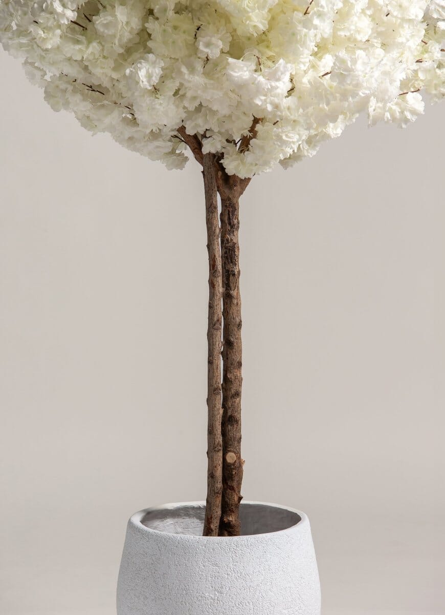 White Cherry Blossom Tree With Natural Wood Trunk (3 Sizes)