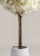 White Cherry Blossom Tree With Natural Wood Trunk (3 Sizes) FLO 