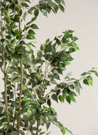 Ficus Benjaminaificial Plant II (2 Sizes)(Pot not included)