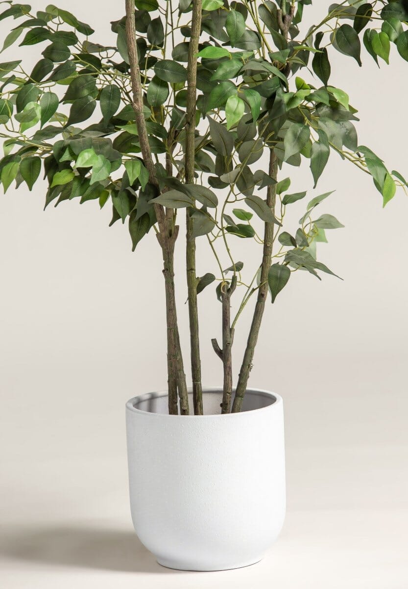 Ficus Benjamina Artificial Plant II (2 Sizes)(Pot not included) FLO 