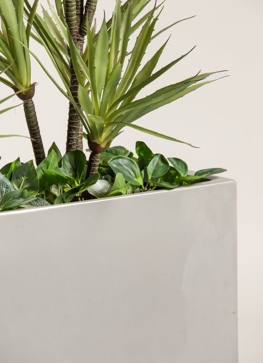 Dracaena Reflexaificial Plant with Rectangular Pot