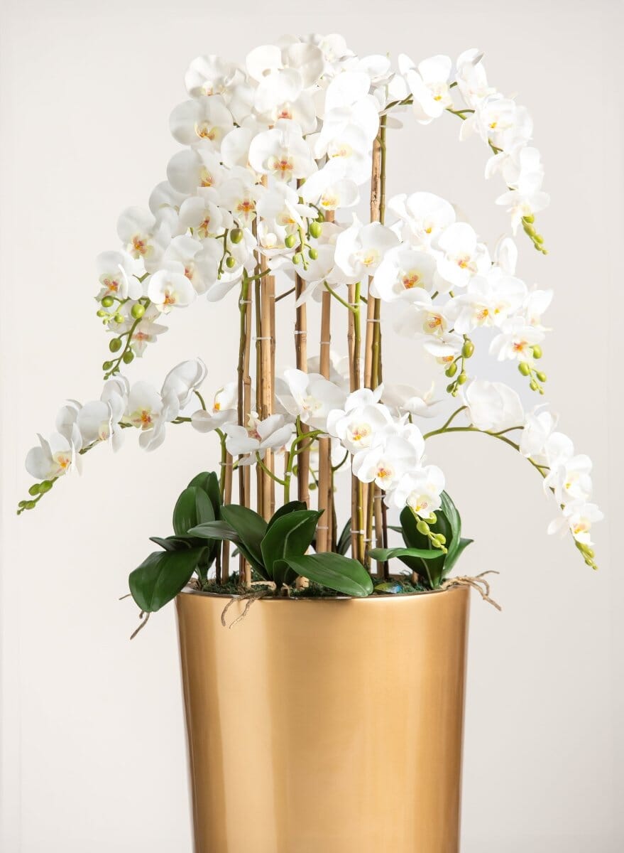 White Phalaenopsis Orchid Artificial Plant FLO 