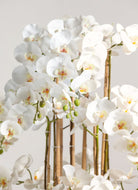 White Phalaenopsis Orchid Artificial Plant FLO 