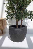 Black Terracotta Pot (3 Sizes)