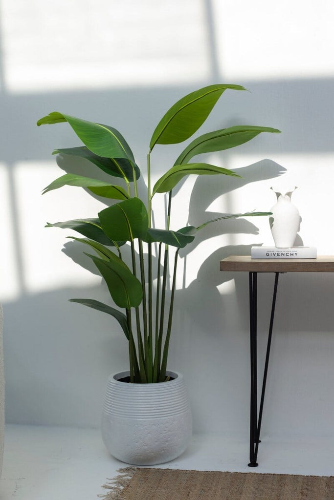 Strelitzia Artificial Tree (Pot not included) FLO 