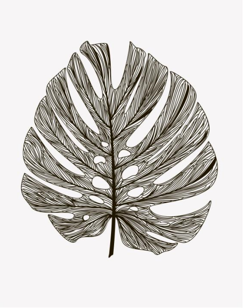 Feathered Green Wall Art