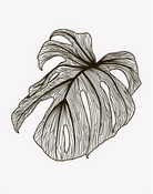 Freefall Foliage Wall Art