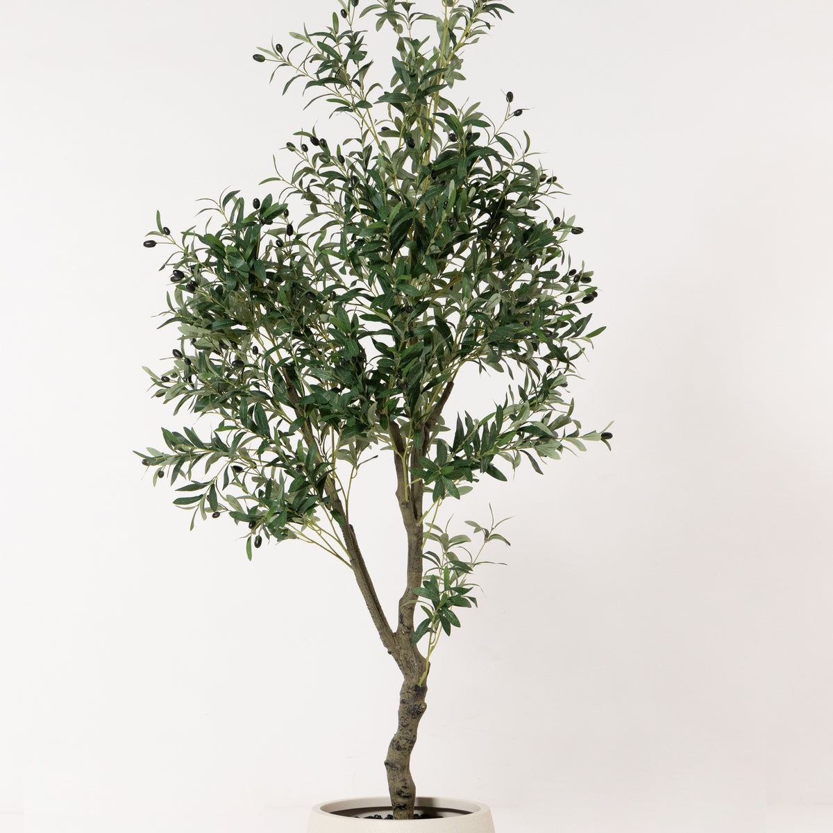 Olive Tree Artificial Plant 210CM – Grand Mediterranean Statement ...