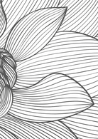 Monochrome Blossom Wall Art III