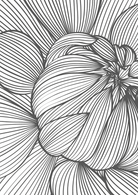 Monochrome Blossom Wall Art II