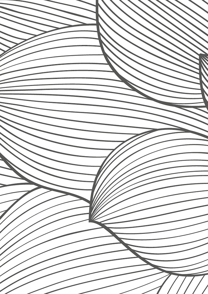 Monochrome Blossom Wall Art I