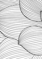 Monochrome Blossom Wall Art I