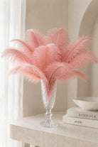 Nirova Pink Decorative Feather Stem (Pack of 10)