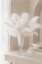 Nirova White Decorative Feather Stem (Pack of 10)