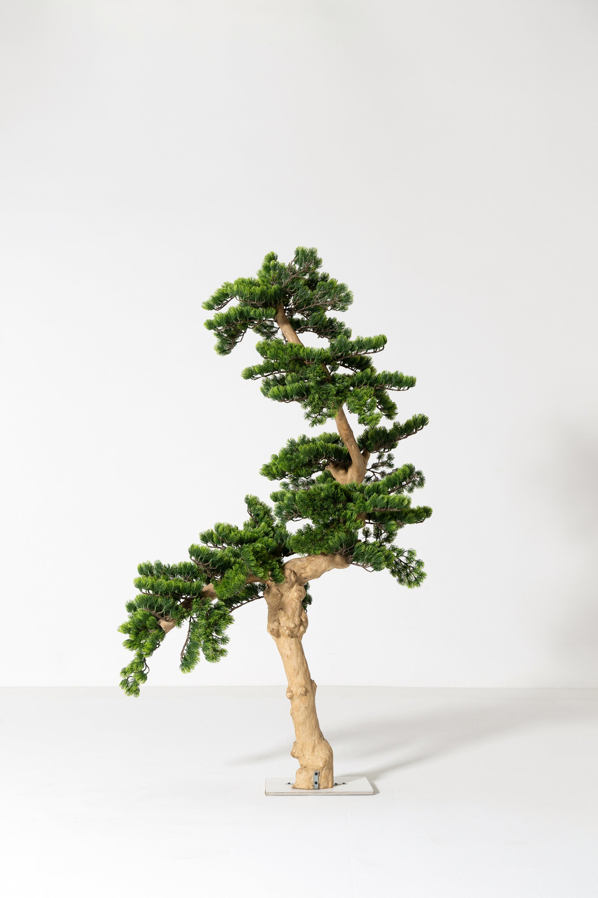 artificial jade bonsai tree Crassula Jade Artificial Bonsai Tree – Premium Lifelike Home Decor Piece – Homekode