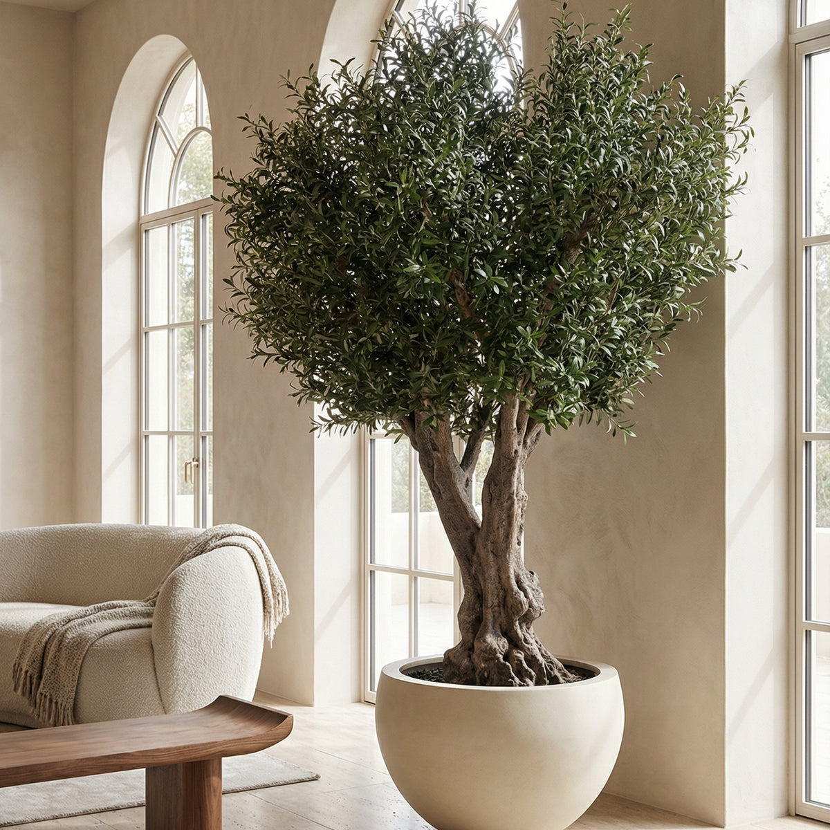 Bring Mediterranean Calm Home with a Natural Look Olive Tree – Homekode