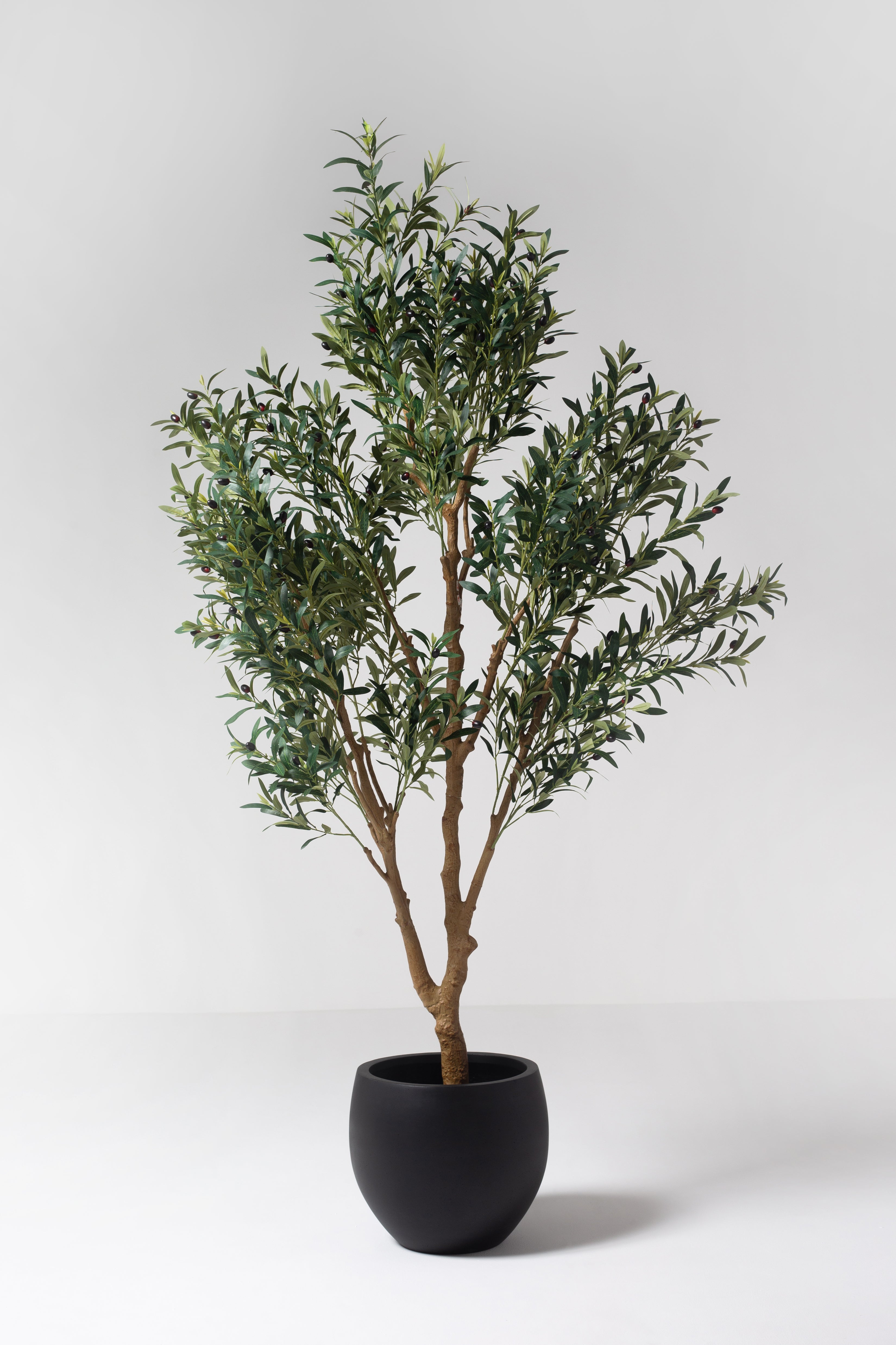 Olive Artificial Tree (210CM)