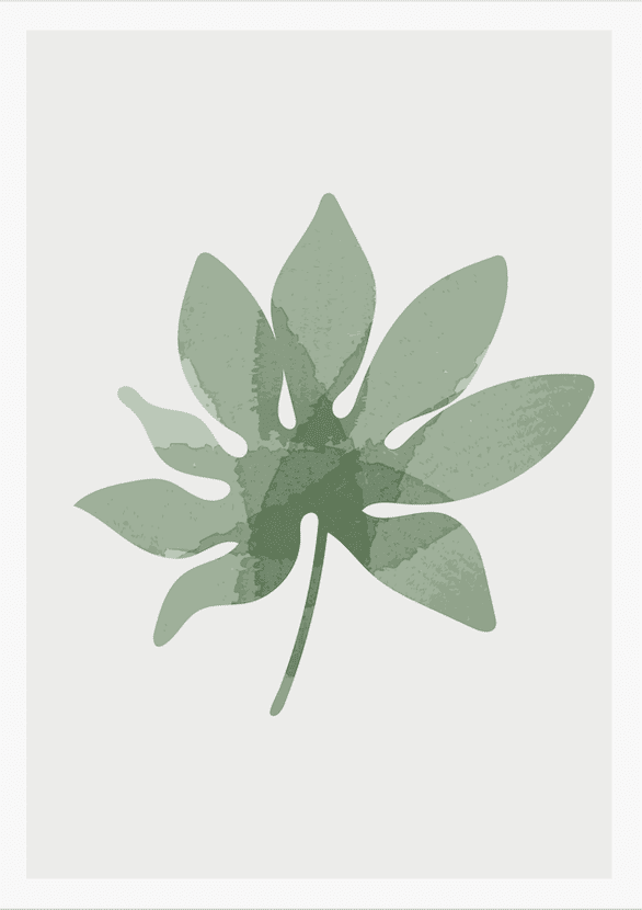Tropical Leaf Illustration II  