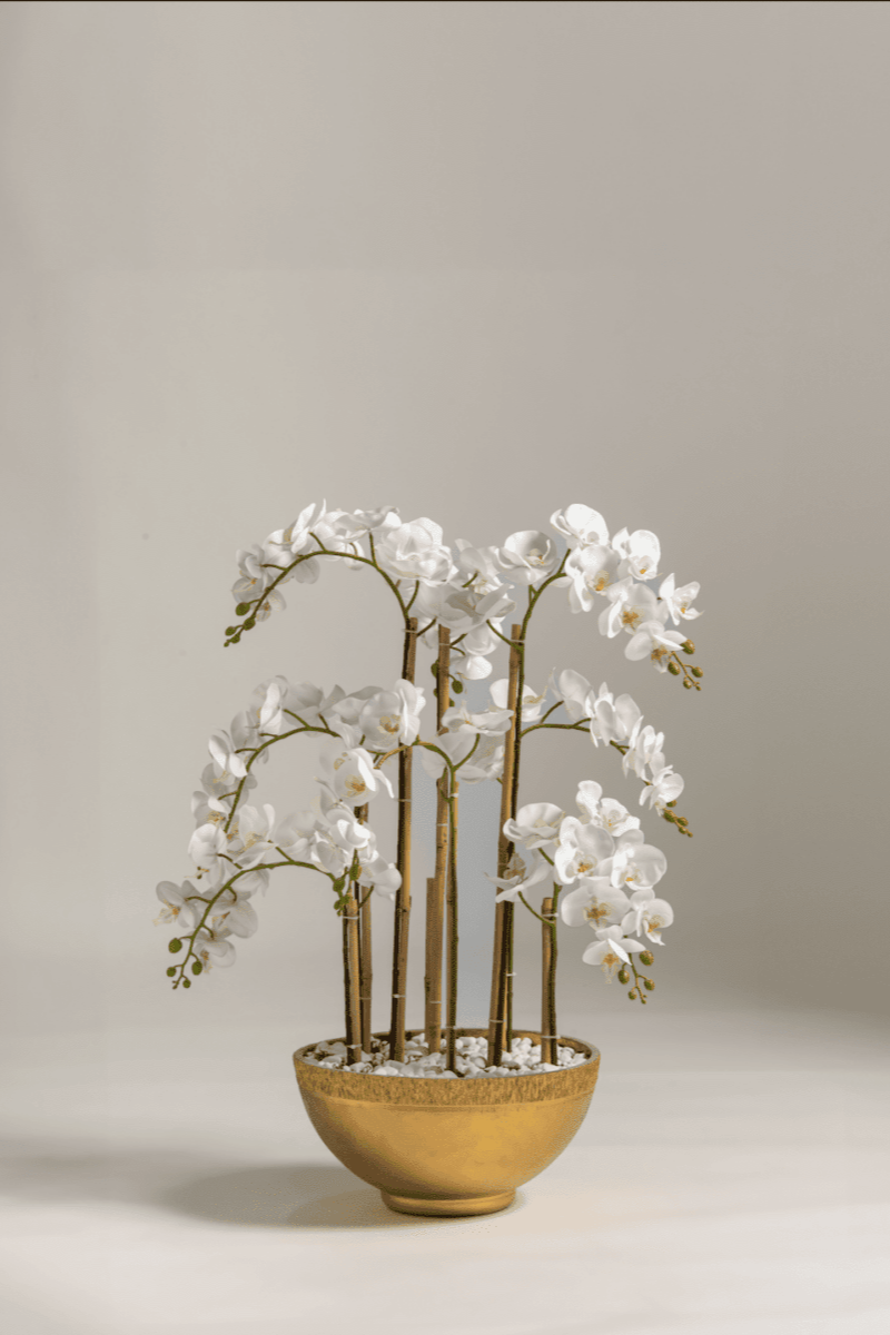 Phalaenopsis Orchid Artificial Plant II