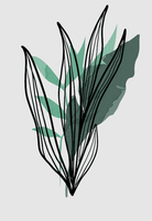 Serene Flora Wall IV 