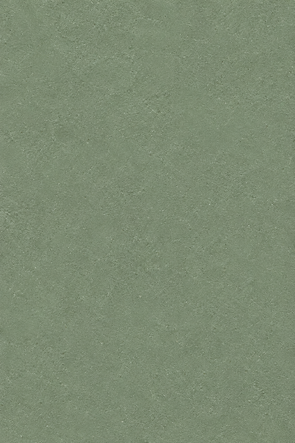 Sorevin Sage Green Microconcrete Shoe Cabinet