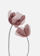 Taco Tulip Floral Abstract Wall III  