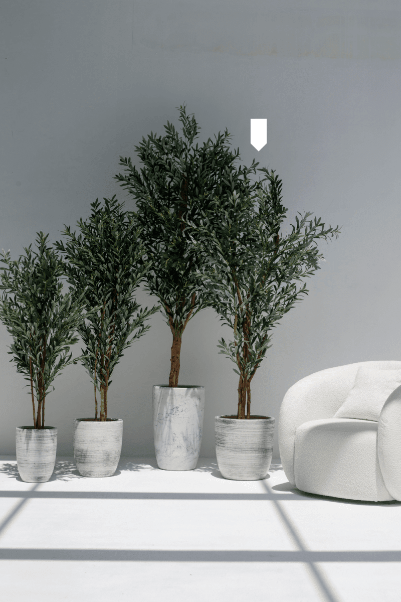 ificial Olive Tree 210CM with Natural Wood Trunk (POT NOT INCLUDED)