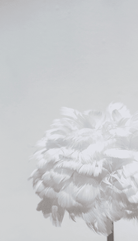 White Feather Table Lamp 