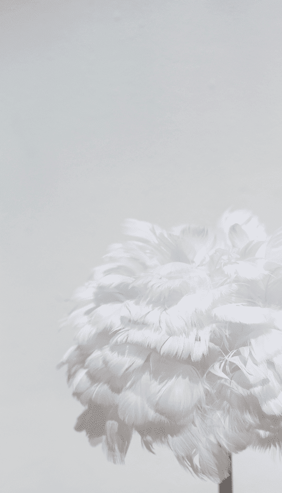 White Feather Table Lamp 