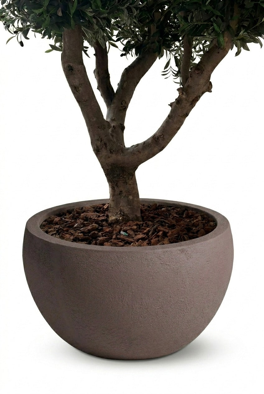 Zuno Dark Brown Tree Pot