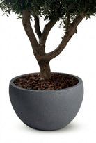 Zuno Dark Grey Tree Pot