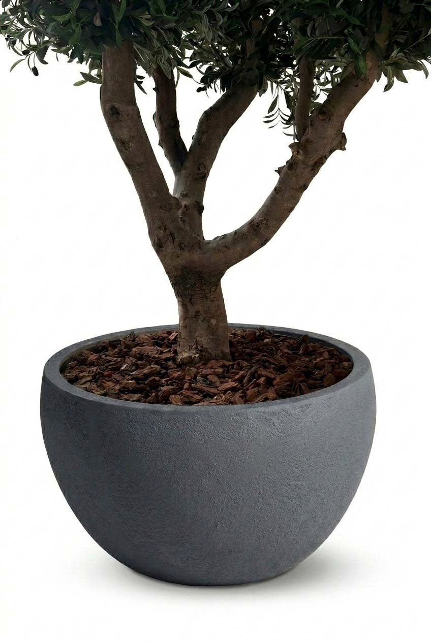 Zuno Dark Grey Tree Pot