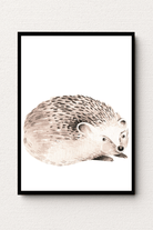 Hedgehog Haven Wall Art FAI12 