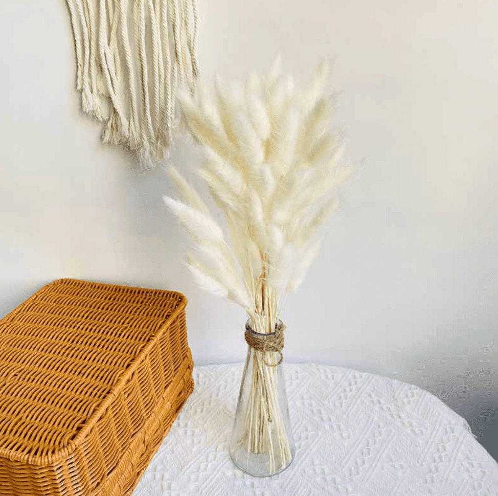 Dried Flower Off White Pampas (10 stems)