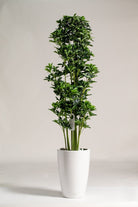 Schefflera Fauxificial Plant - Homekode