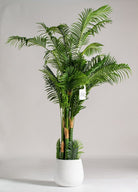 Areca Palm Artificial Plant (Pot not included) Homekode 