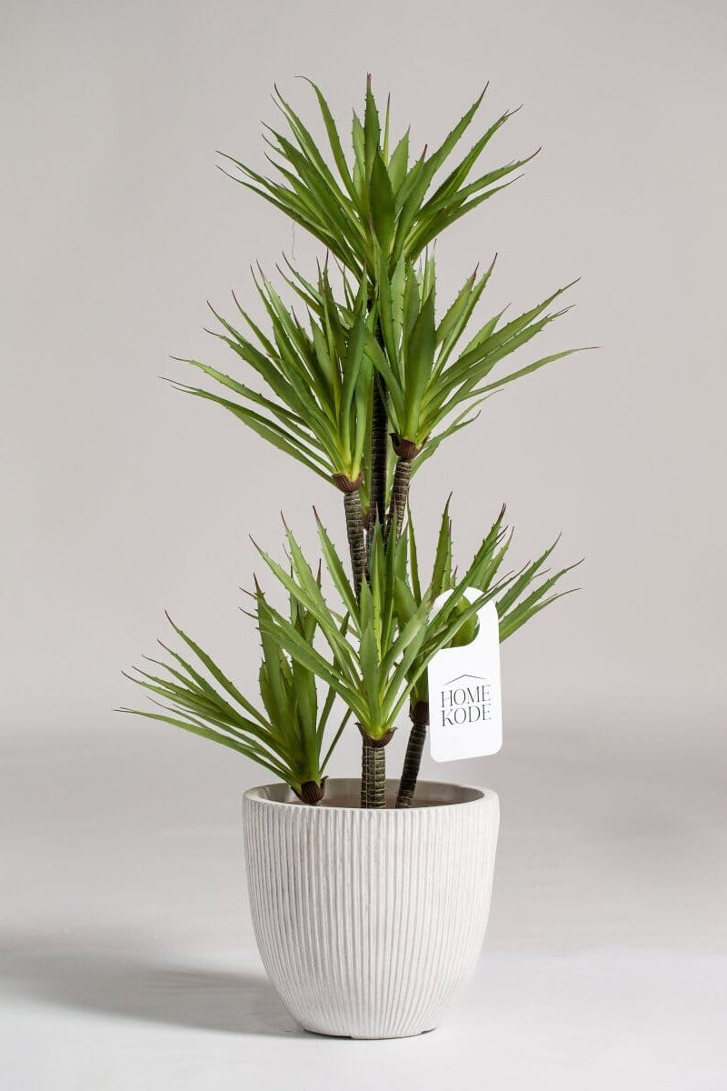 Yucca Artificial Plant