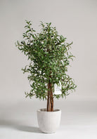 Olive Artificial Tree 