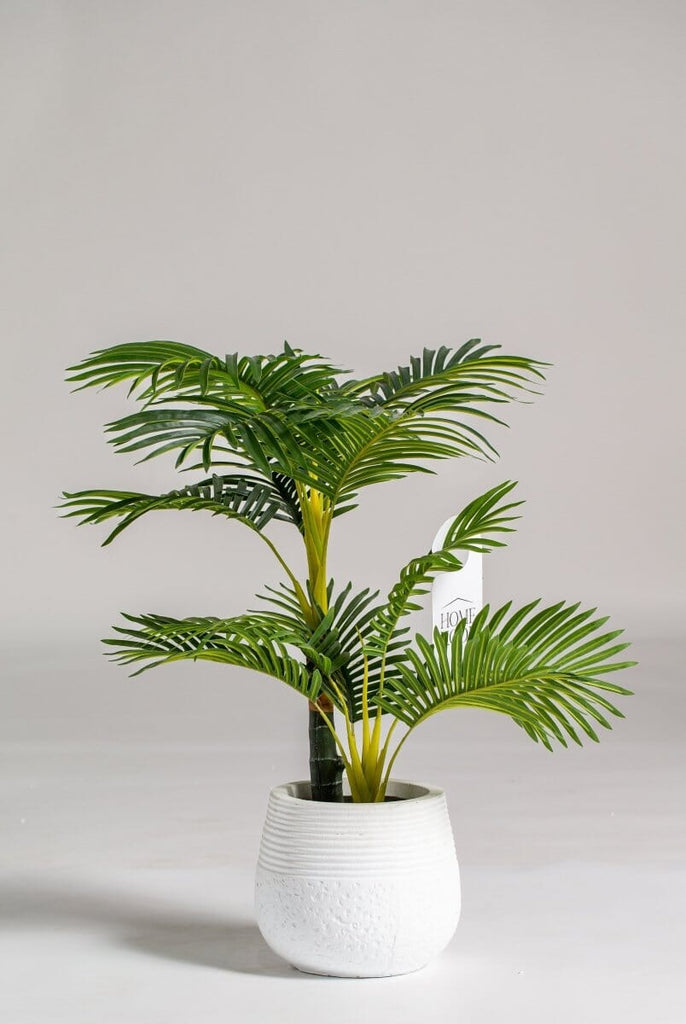 Arica Artificial Plant (Pot not included) Homekode 