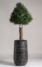 Boxwood Treeificial Plant (Pot not included) Homekode 