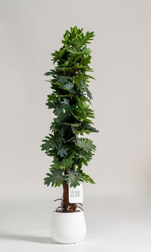 Ficus Lyrata Artificial Plant - HomeKode