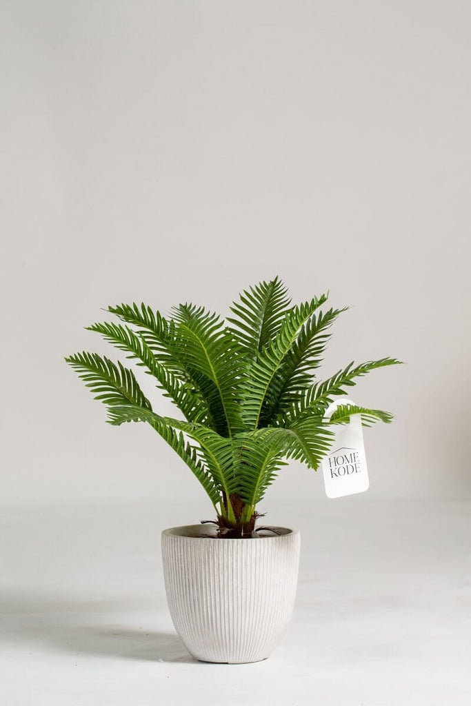 Cycas Palm artificial faux plant - HomeKode