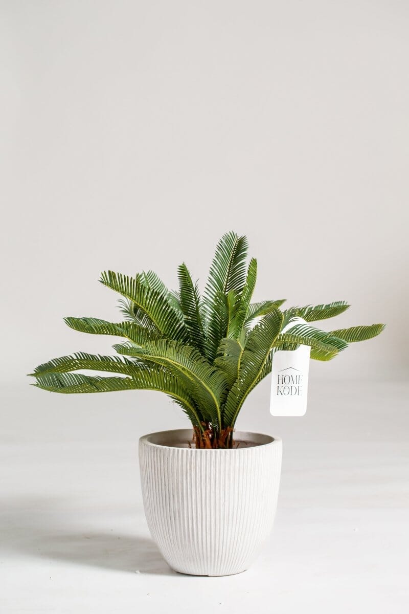 Cycas Artificial Faux Plant Homekode 