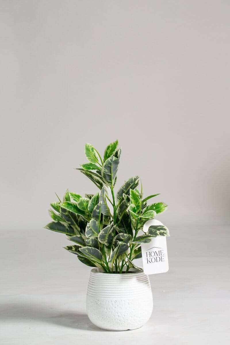 Dieffenbachia Artificial Plant (Pot not included) Homekode 