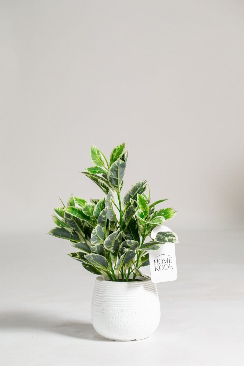 Dieffenbachia Artificial Plant (Pot not included) Homekode 