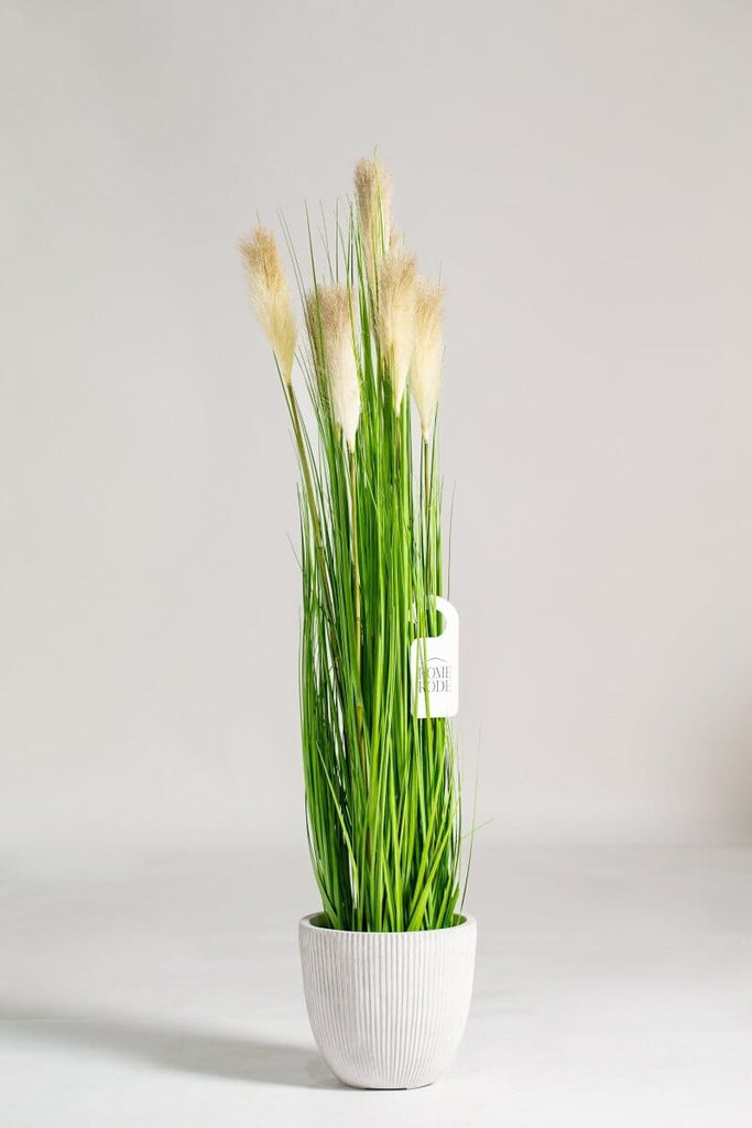 Fountain grass Artificial Faux Plant (Pot not included) Homekode 