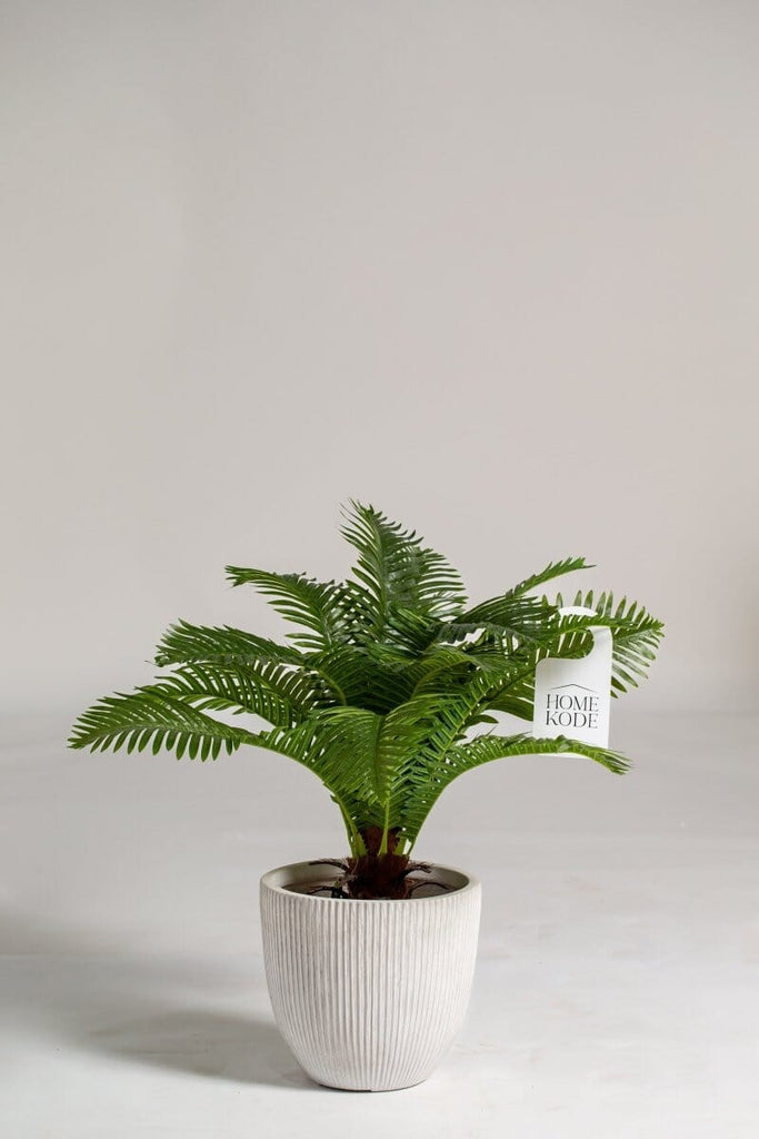 Oceaniopteris gibba Artificial Plant (Pot not included) Homekode 