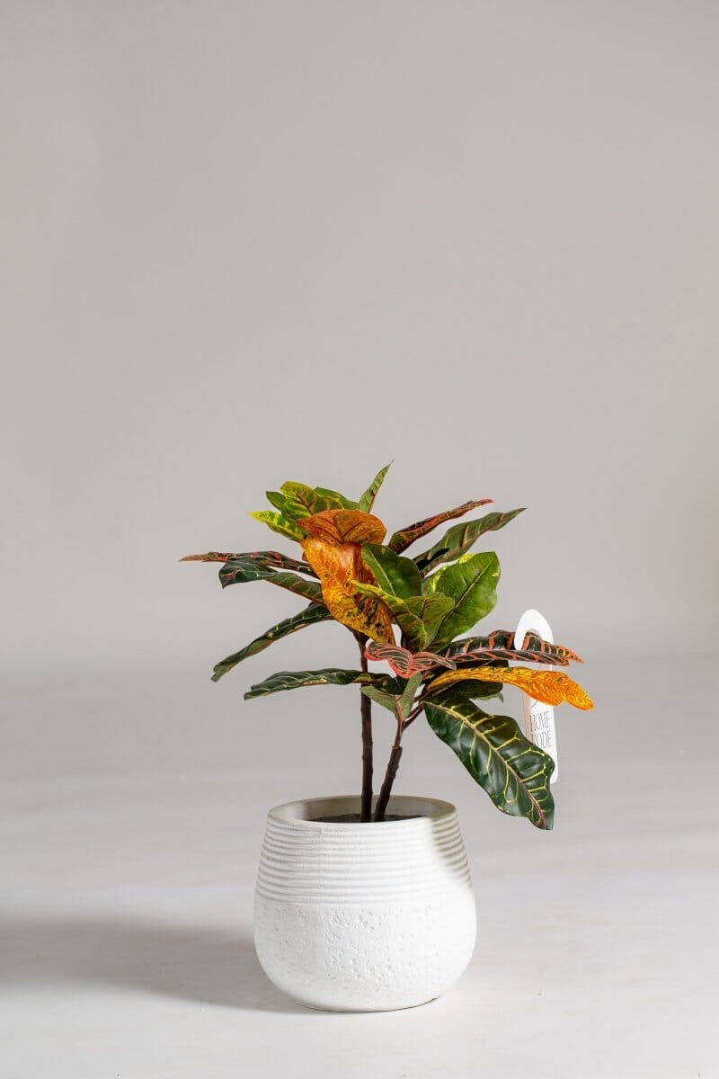 Garden Croton Artificial Plant